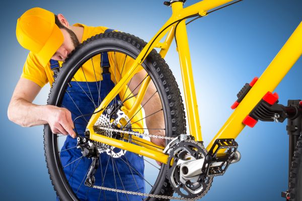 Bike Assembly in Van Nuys