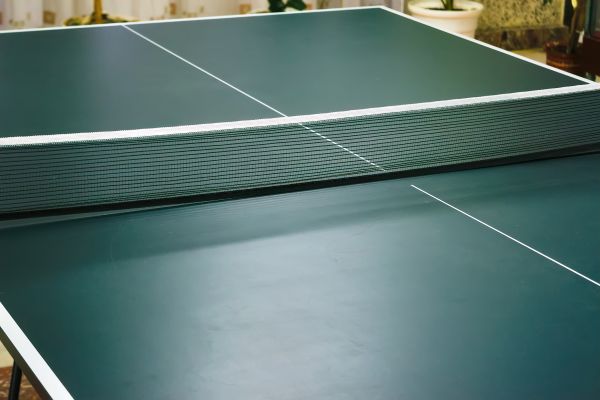 Ping Pong Table Assembly in Van Nuys